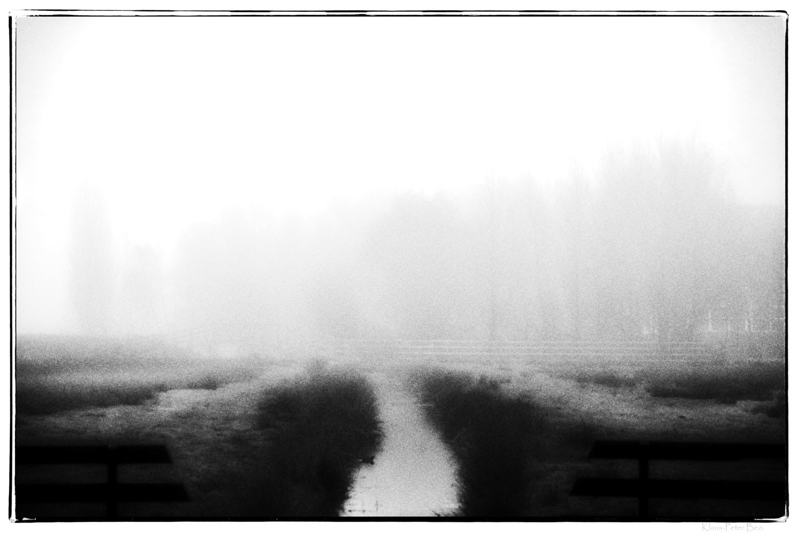 Herbstnebel (b&w)