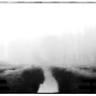 Herbstnebel (b&w)