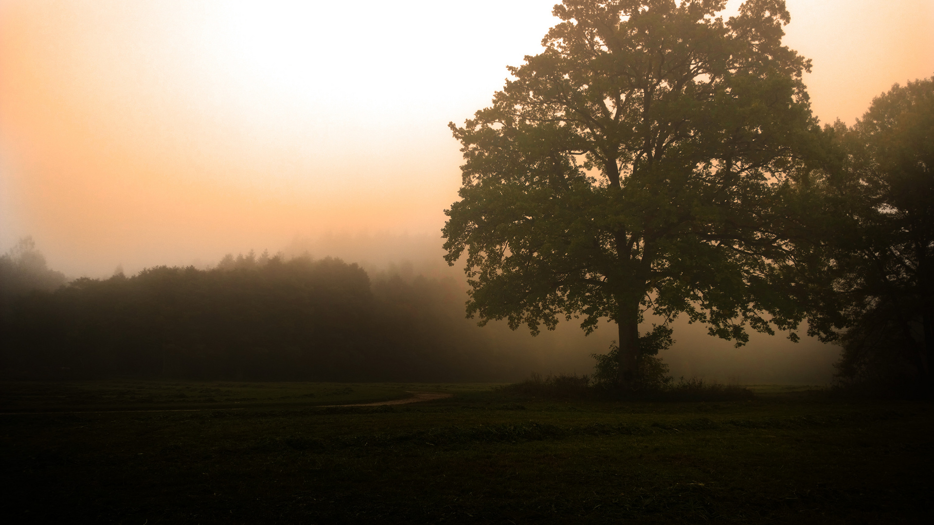 Herbstnebel