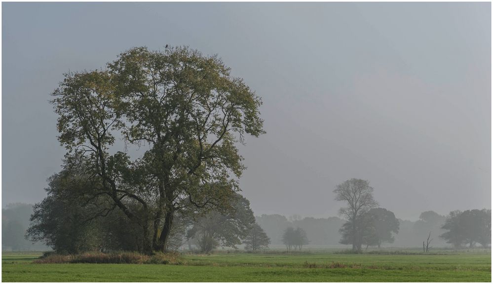 Herbstnebel