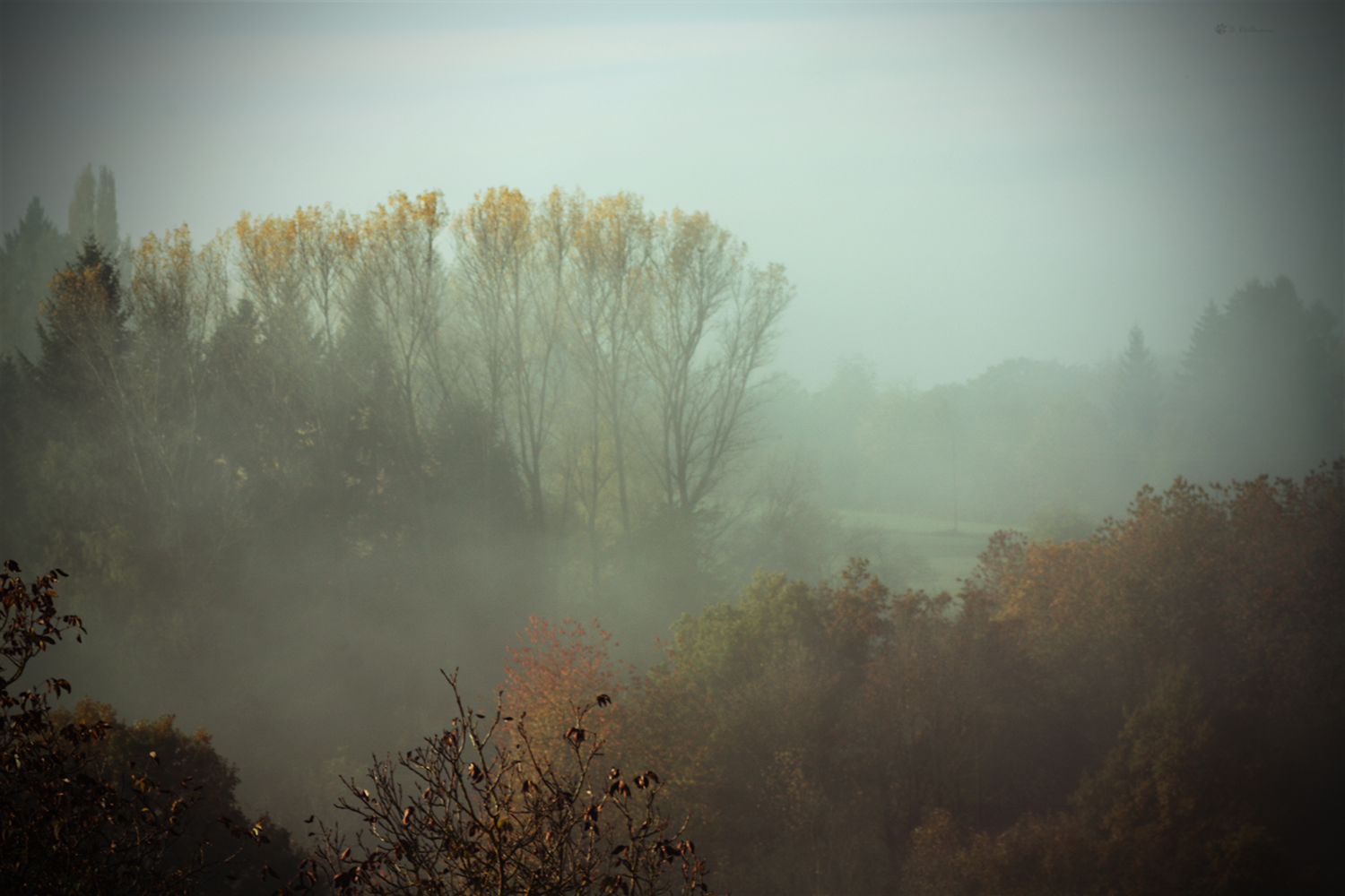 Herbstnebel