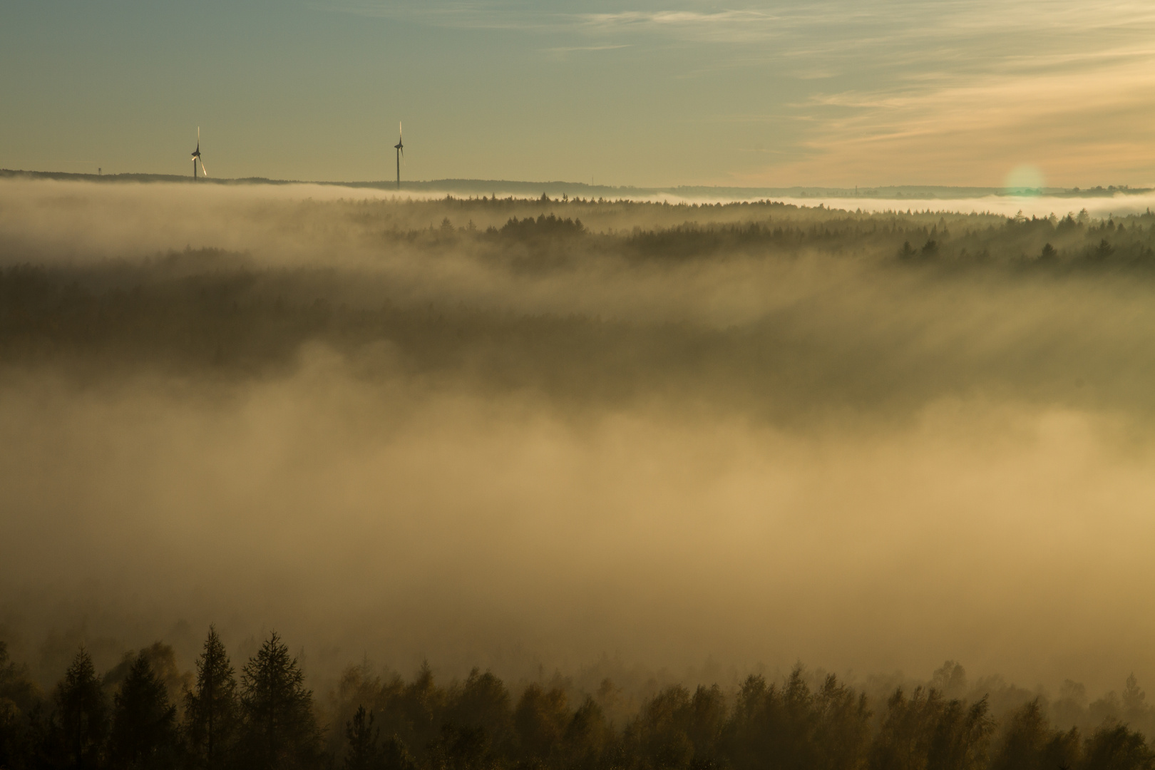 Herbstnebel