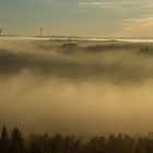 Herbstnebel