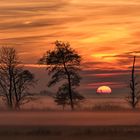 Herbstnebel