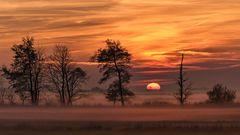 Herbstnebel