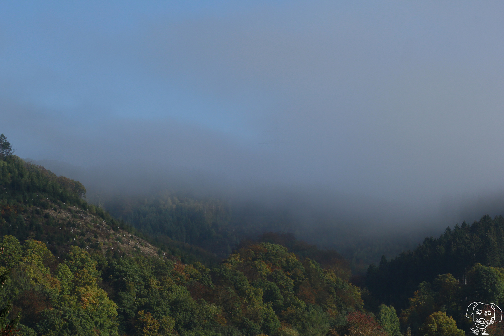 Herbstnebel