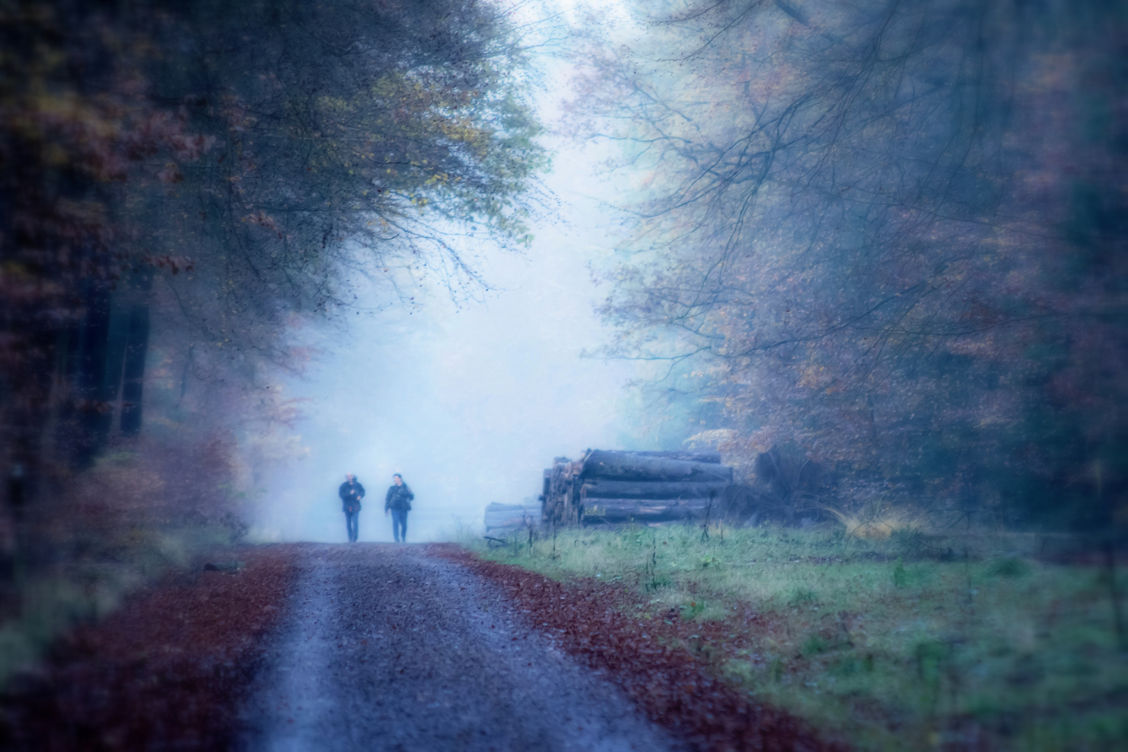 Herbstnebel