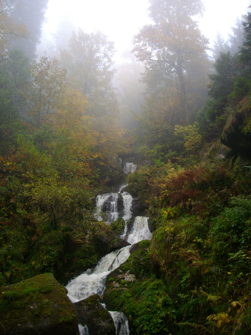 Herbstnebel