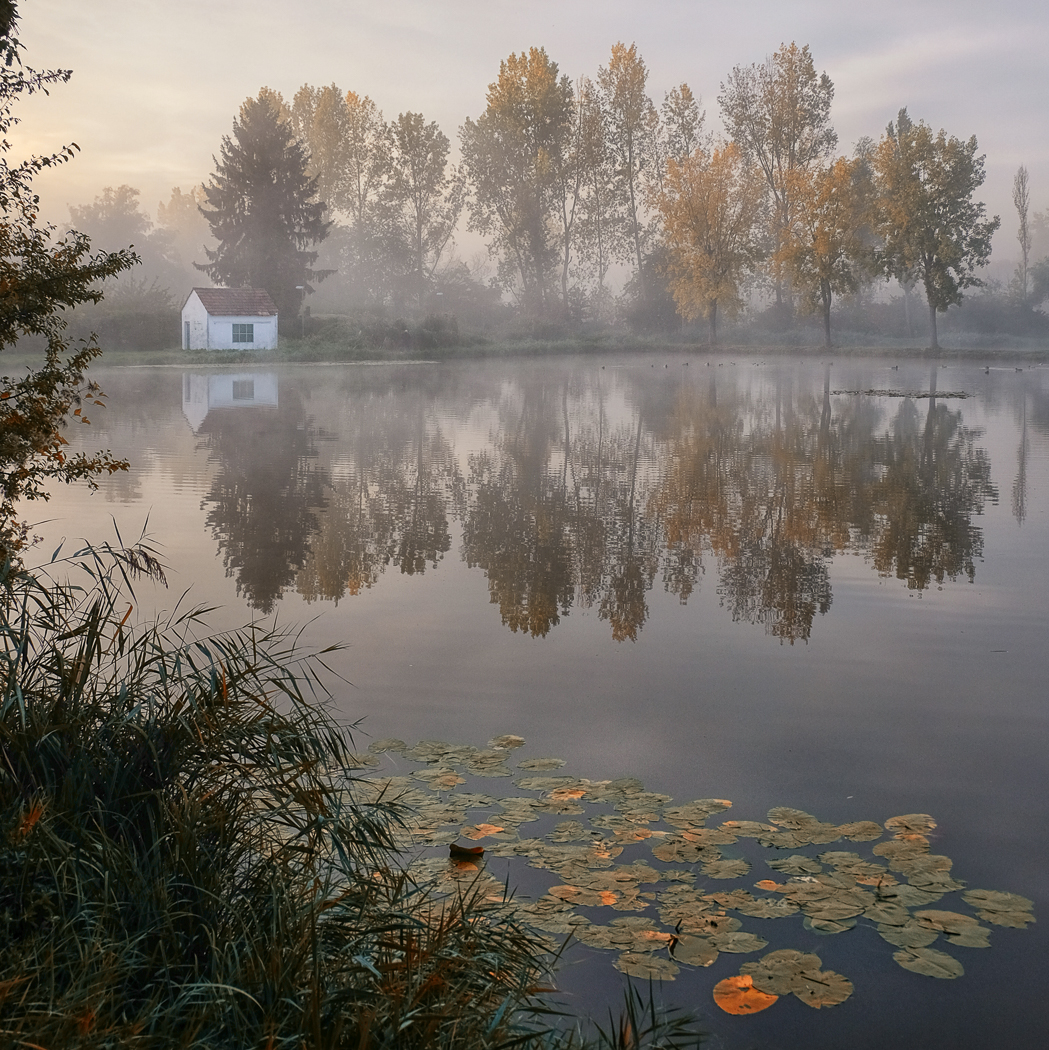 Herbstnebel