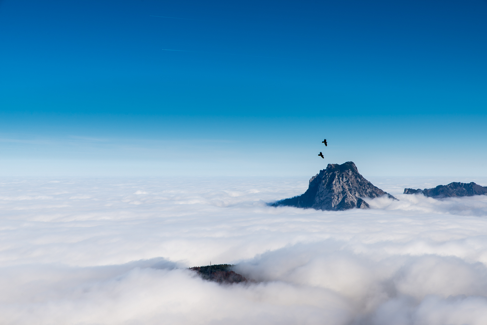 Herbstnebel