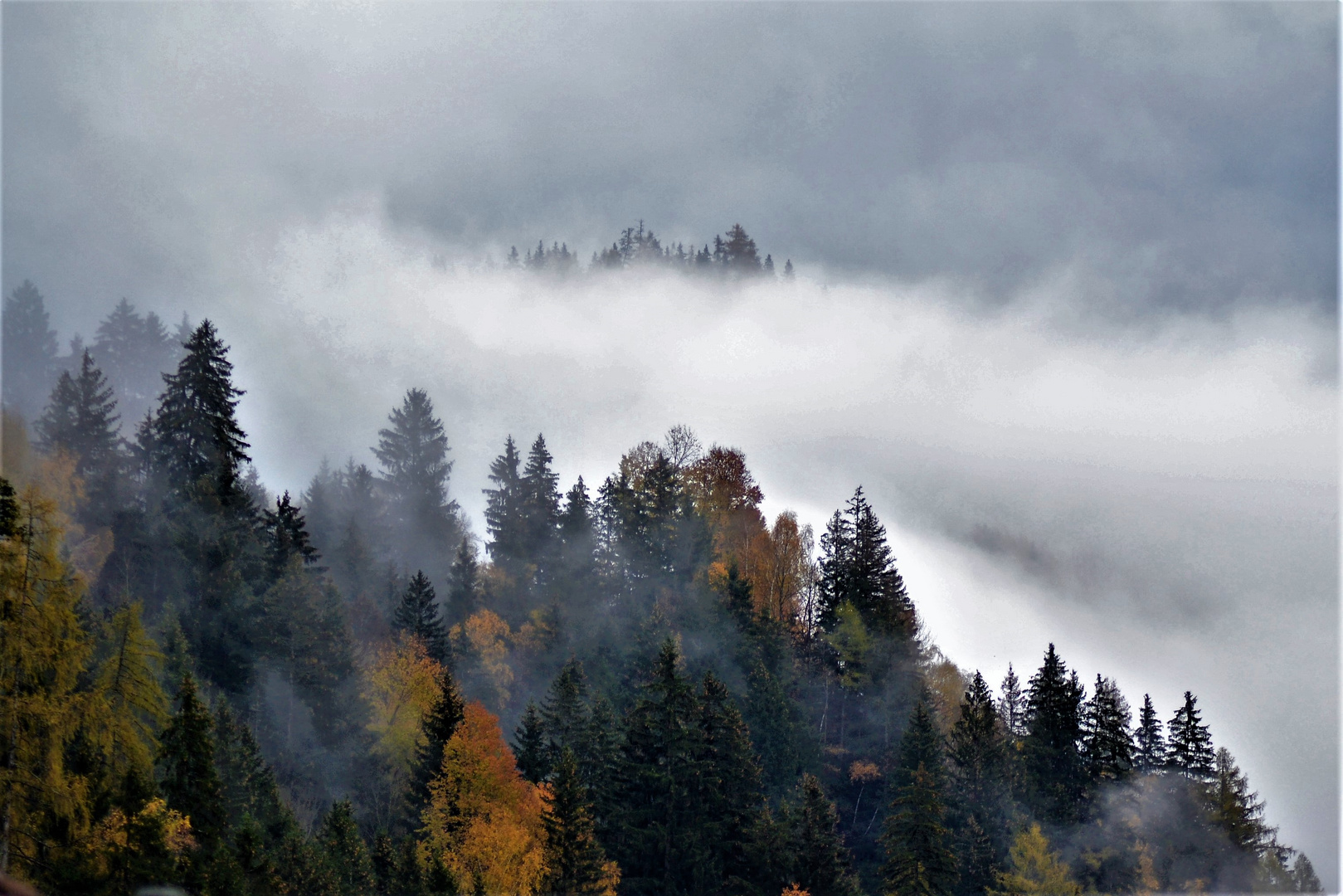 Herbstnebel 