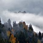 Herbstnebel 