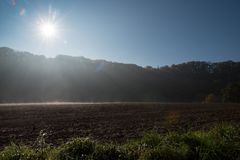 Herbstnebel