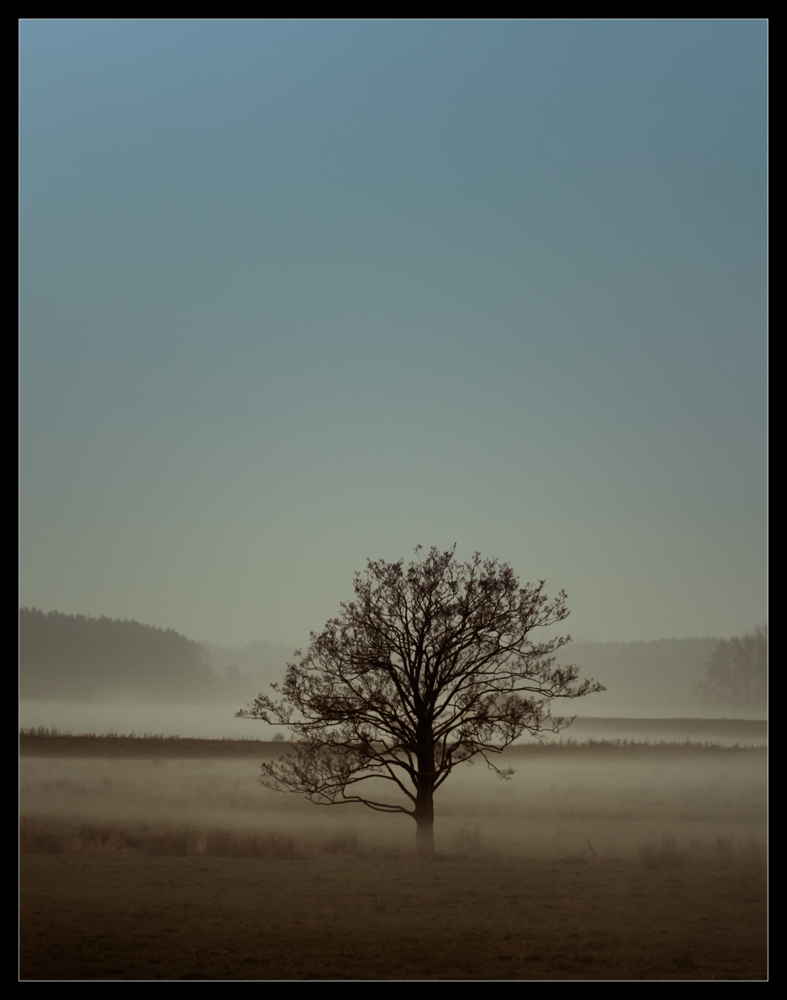 Herbstnebel