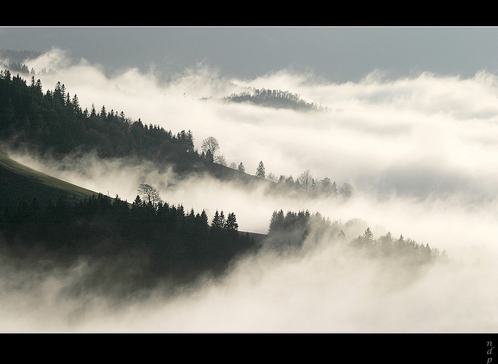 Herbstnebel