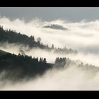 Herbstnebel