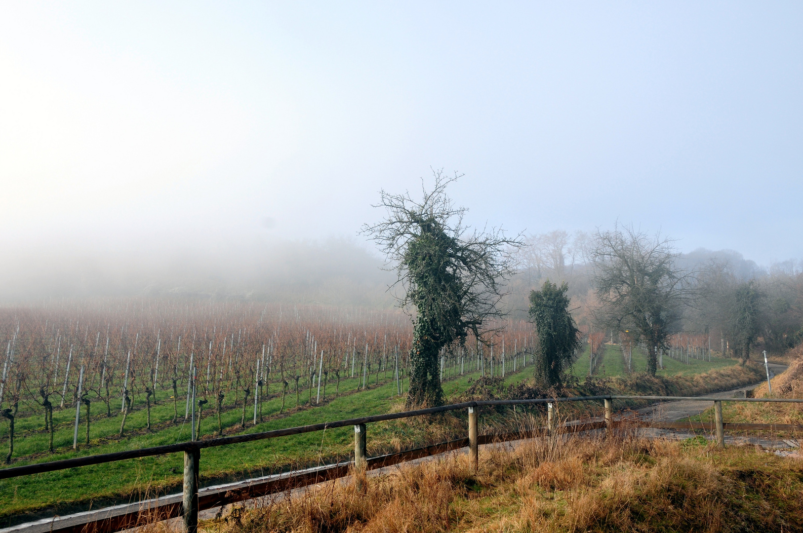 Herbstnebel