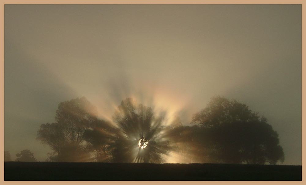 Herbstnebel