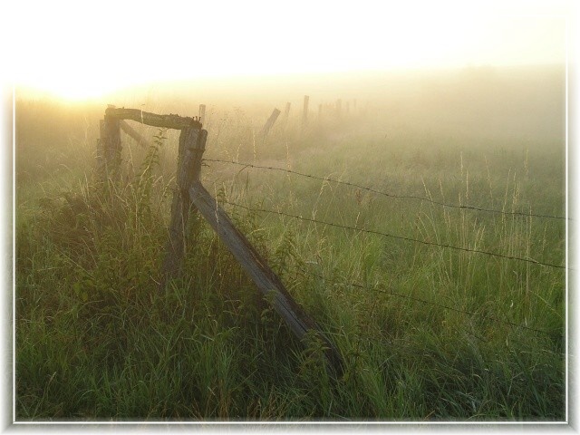 Herbstnebel