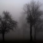 Herbstnebel