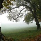 Herbstnebel