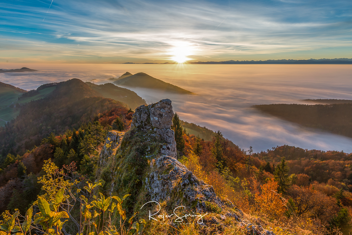 Herbstnebel