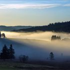 herbstnebel