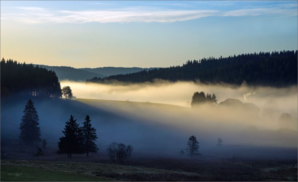 herbstnebel