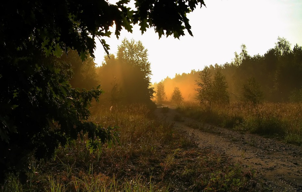 Herbstnebel