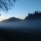 Herbstnebel