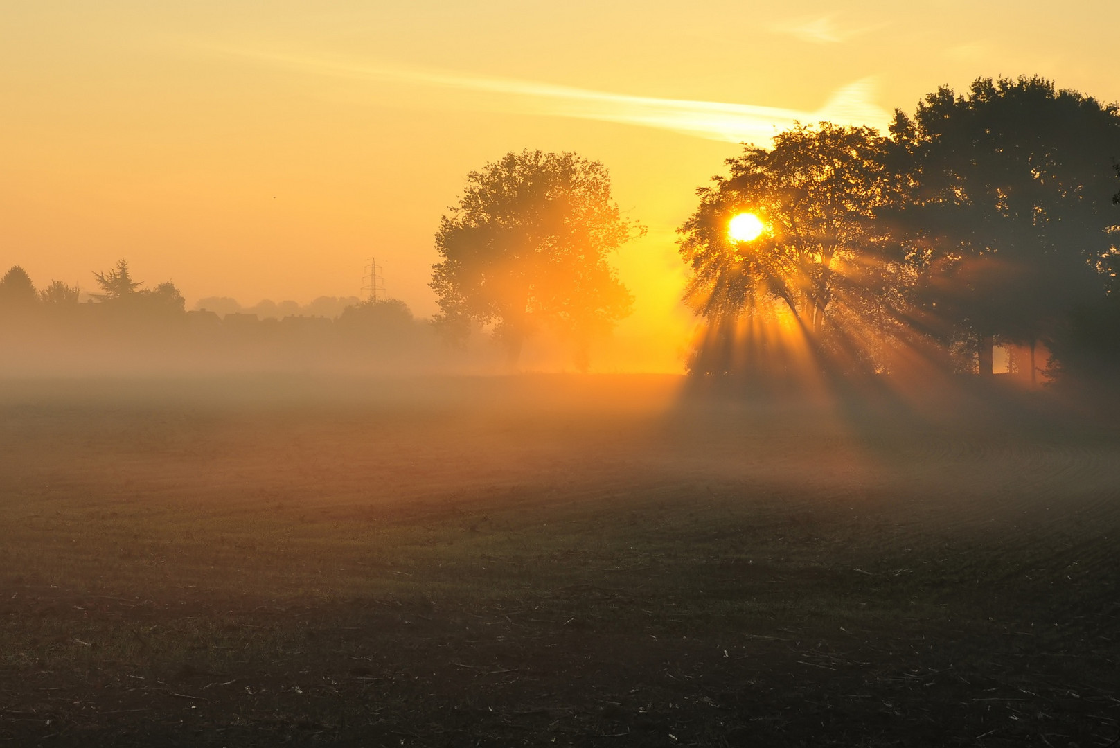 Herbstnebel