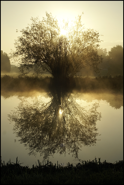 Herbstnebel