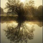 Herbstnebel