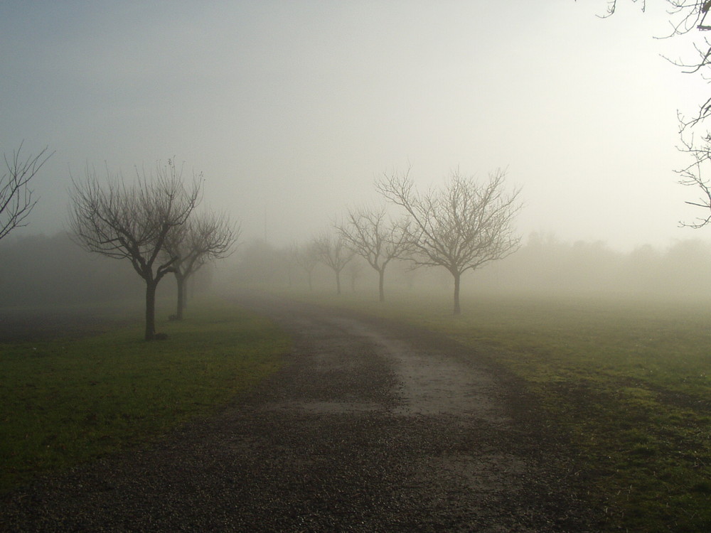 Herbstnebel