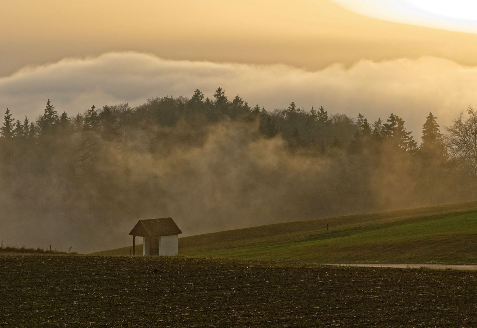 Herbstnebel