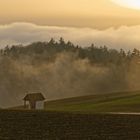 Herbstnebel