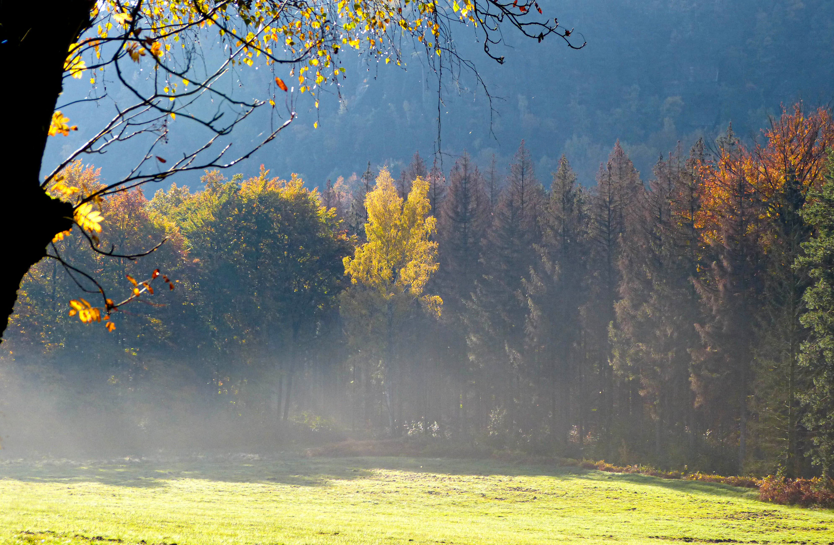 Herbstnebel entsteigen den Wiesen