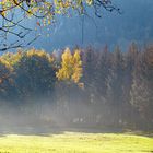 Herbstnebel entsteigen den Wiesen