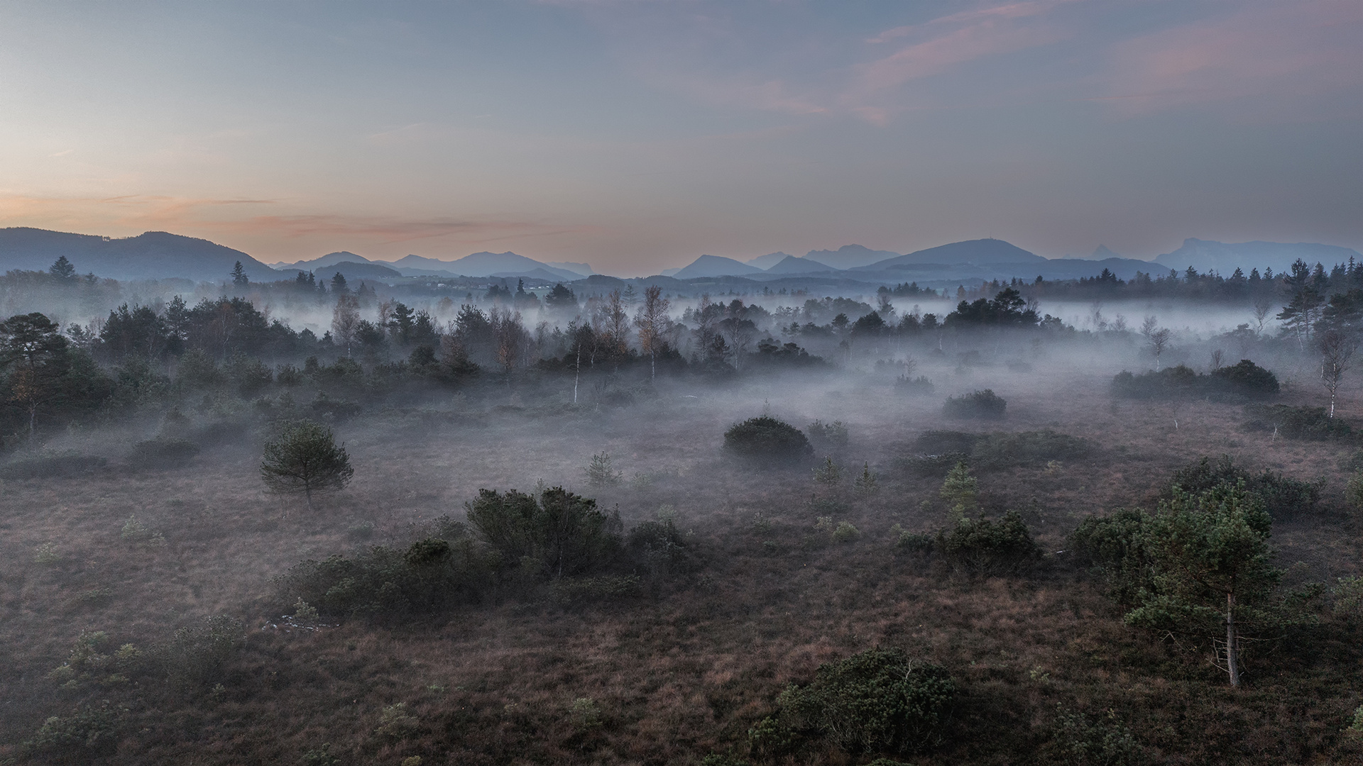 Herbstnebel