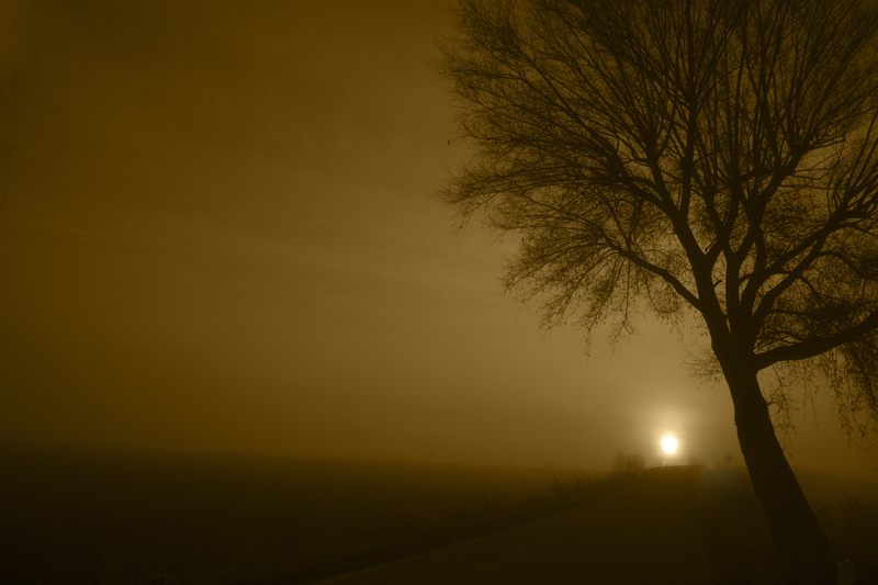 herbstnebel