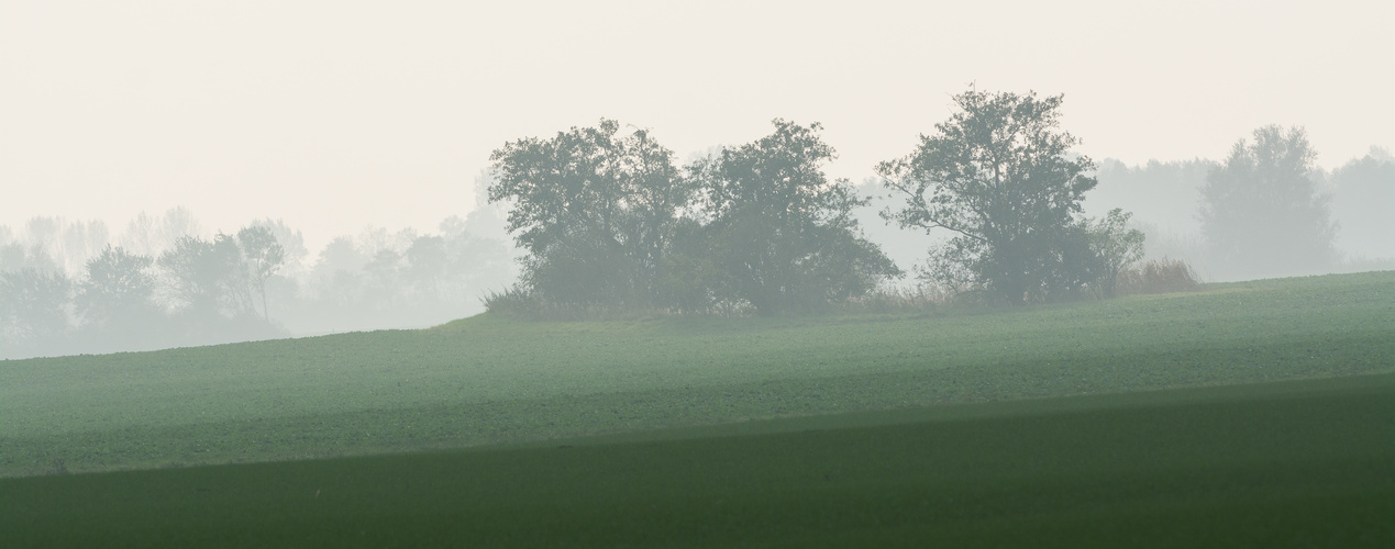 Herbstnebel