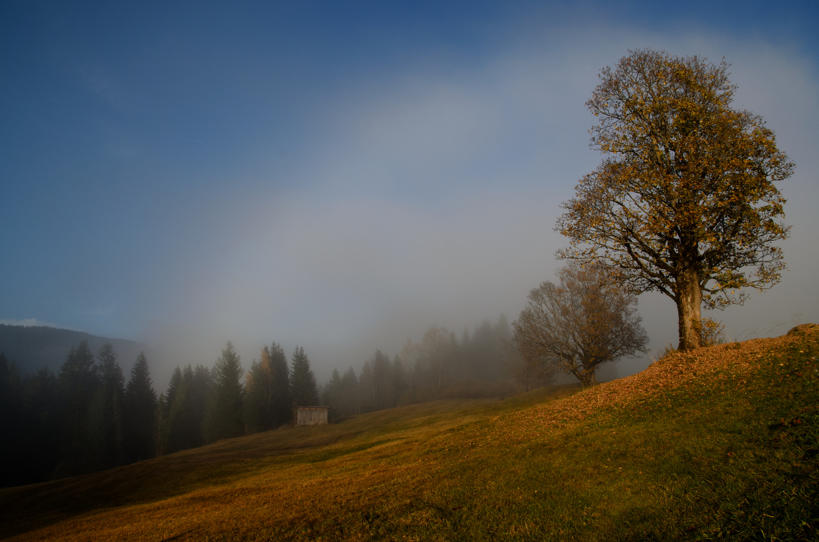 Herbstnebel