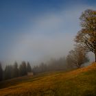 Herbstnebel