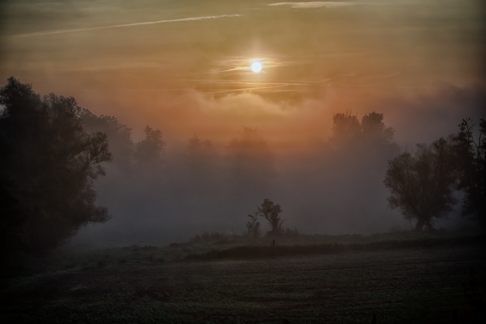 Herbstnebel