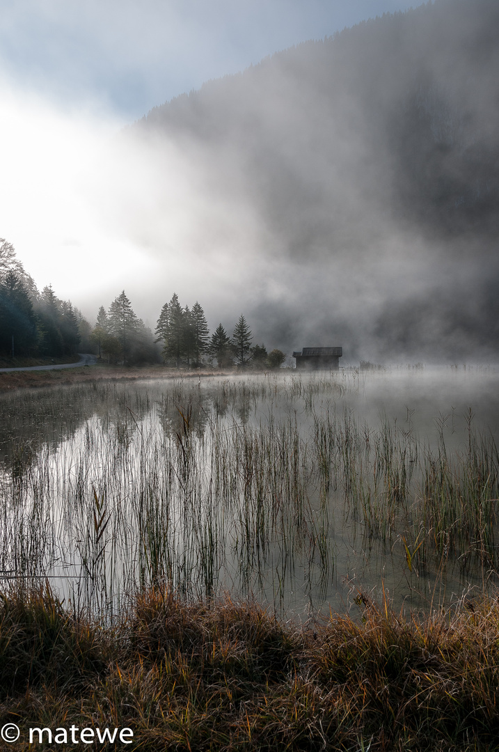 Herbstnebel