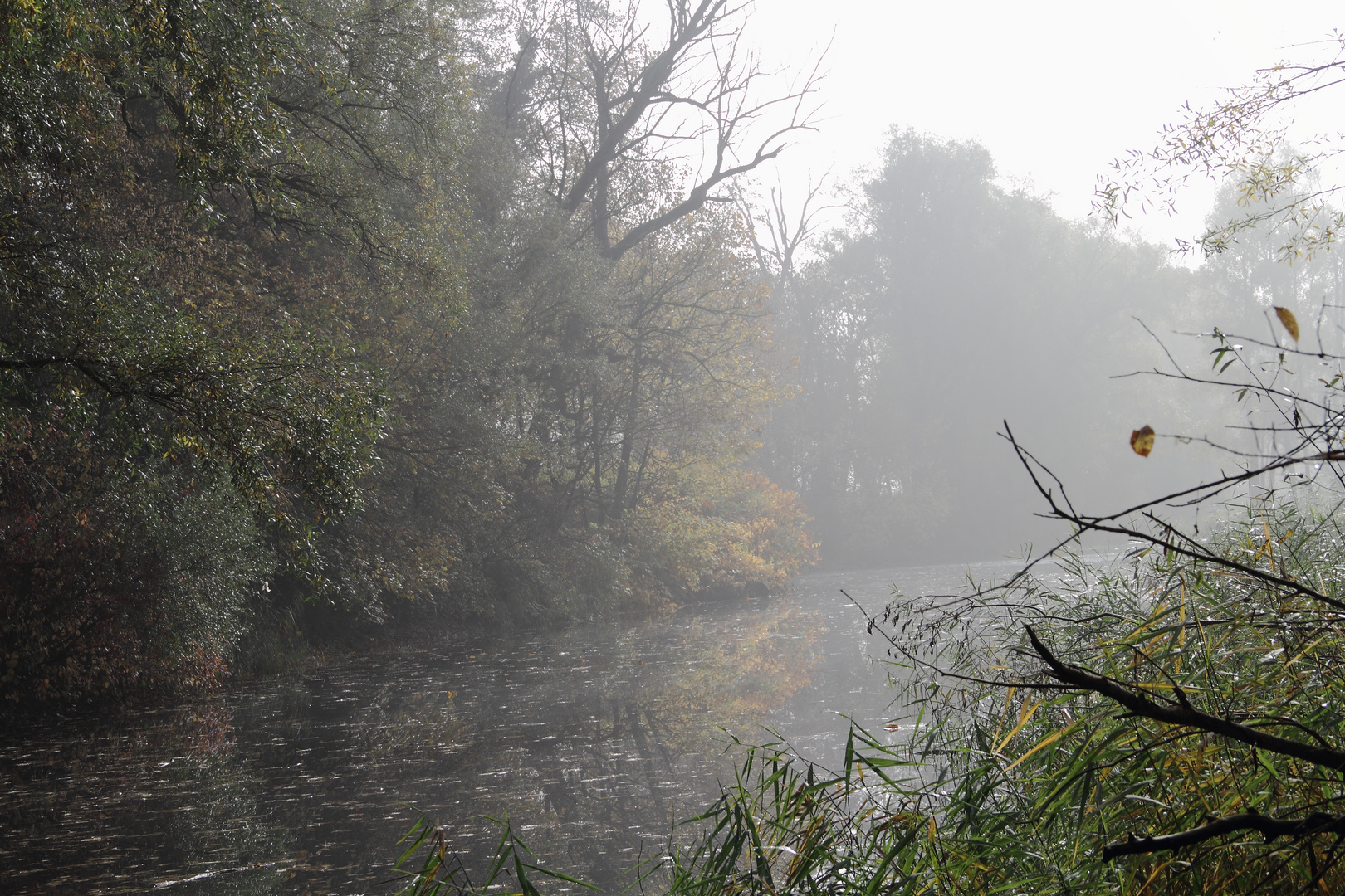 Herbstnebel