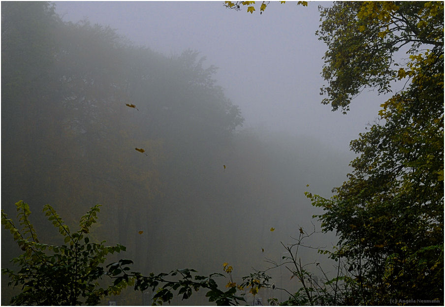 Herbstnebel