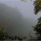 Herbstnebel