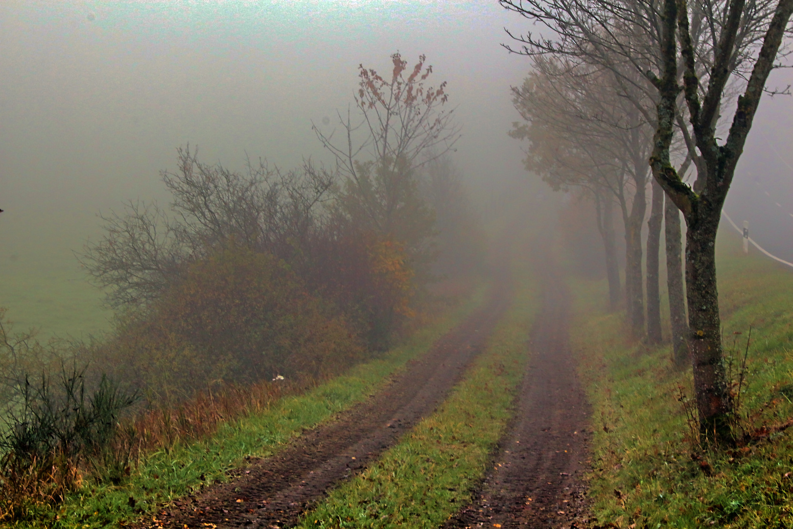 Herbstnebel