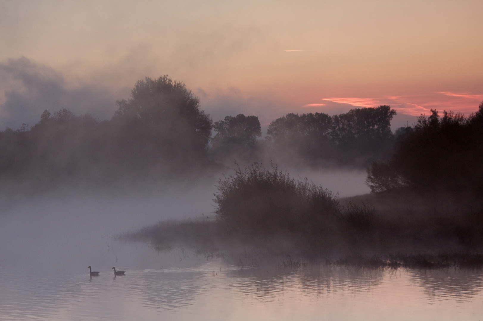 Herbstnebel